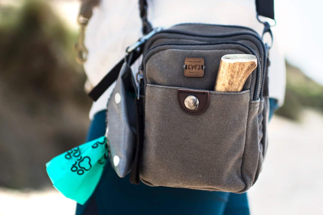 The Dandy Dog Company Dog Walking Bag | The Pet Carpenter