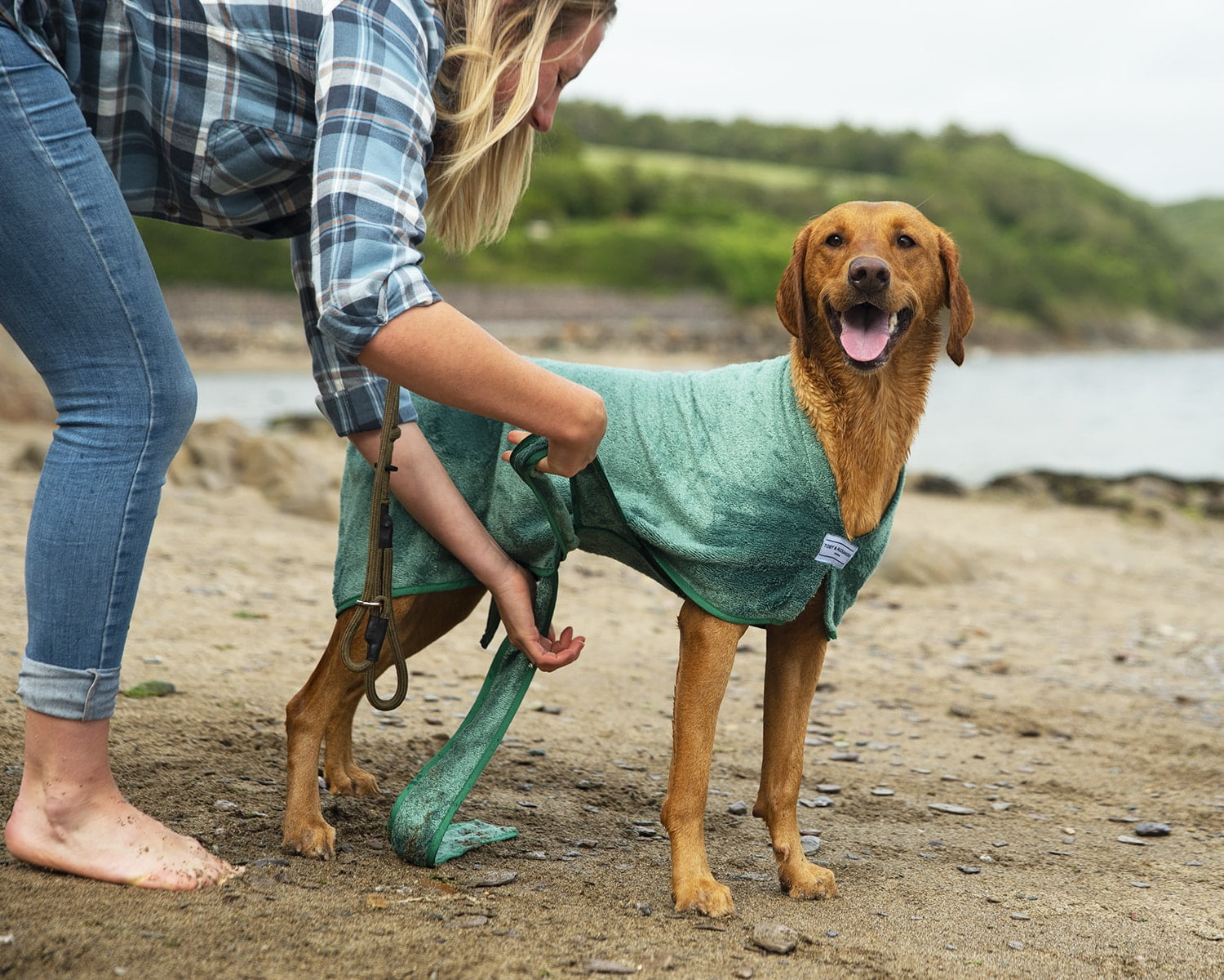 Christmas Gift Ideas for Dogs and Dog Owners | The Pet Carpenter